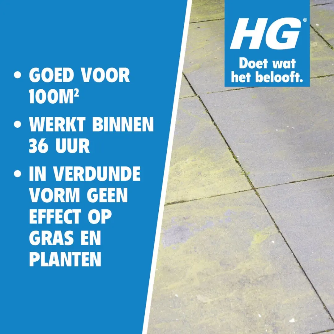 HG Groene Aanslagreiniger Concentraat 1L