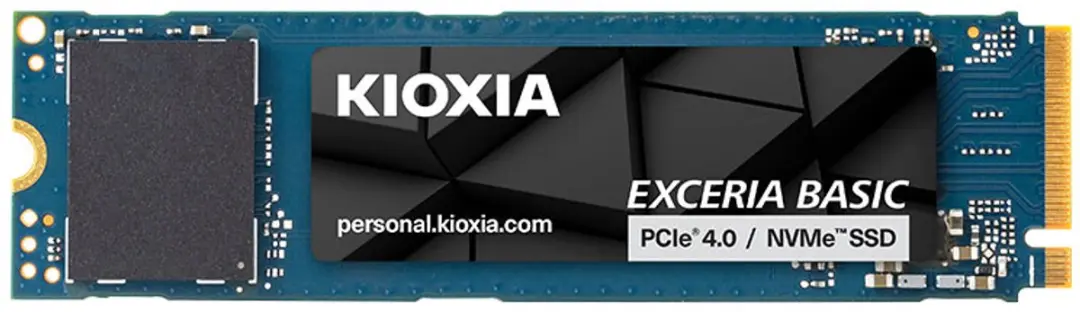Kioxia LSF10Z001TG8 M.2 SSD