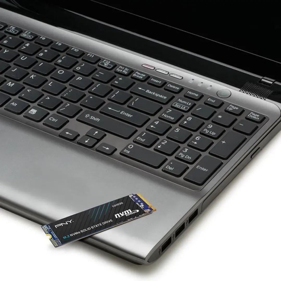 PNY M280CS1030-250-RB M.2 NVMe SSD - 250GB