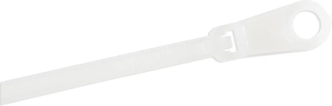 Startech 200mm Kabelbinders met Montagegat - 100 Stuks