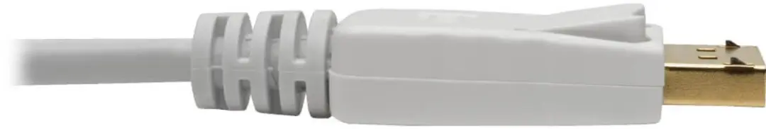 Tripp Lite P134-06N-MDP DisplayPort Kabel 0,2m - Wit