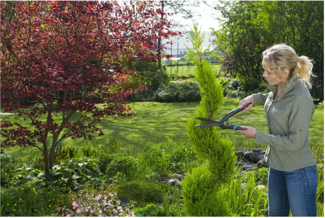 Gardena PrecisionCut Buxusschaar 18cm