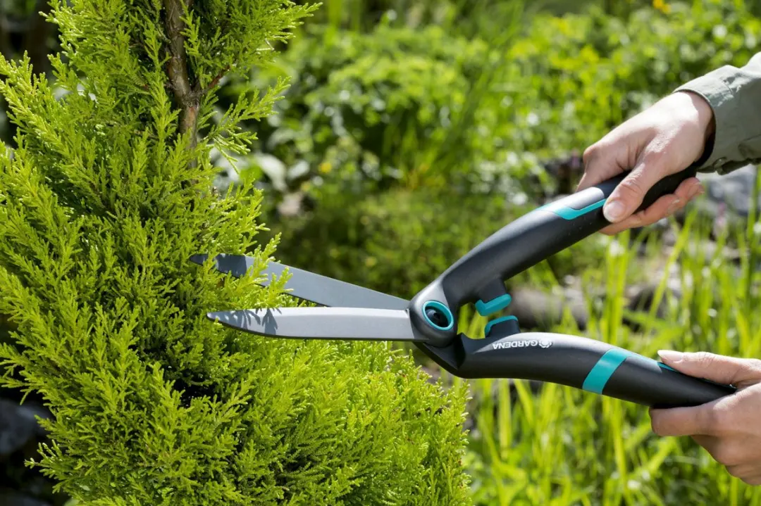 Gardena PrecisionCut Buxusschaar 18cm - afbeelding 6 van 6