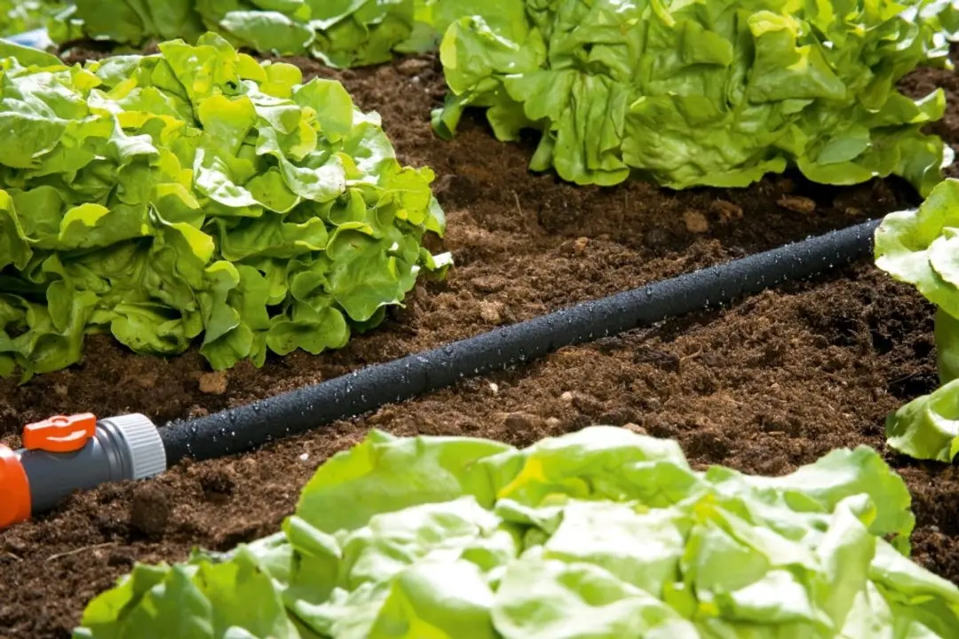 Gardena Druppelslang 15m - 15 m²