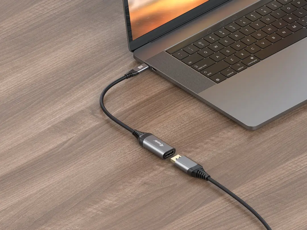 Equip 133493 USB Type-C naar DisplayPort Kabel 0,15m - Zwart/Grijs