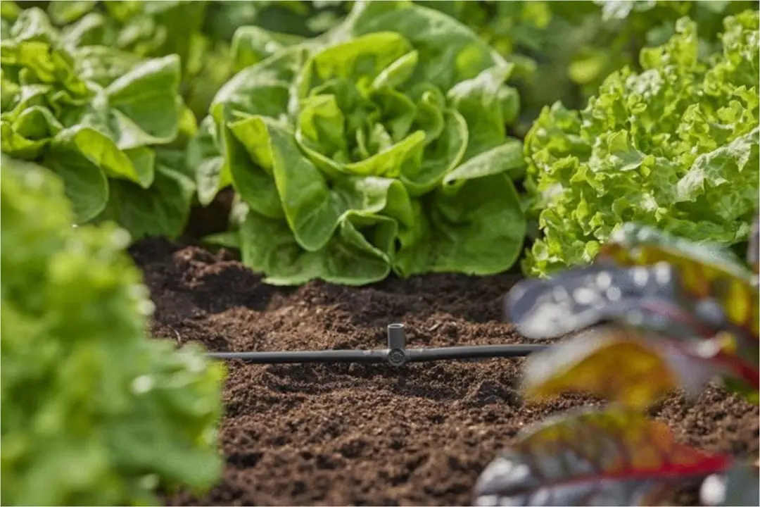 Gardena T-stuk 3/16 voor sproeiers 4.6mm
