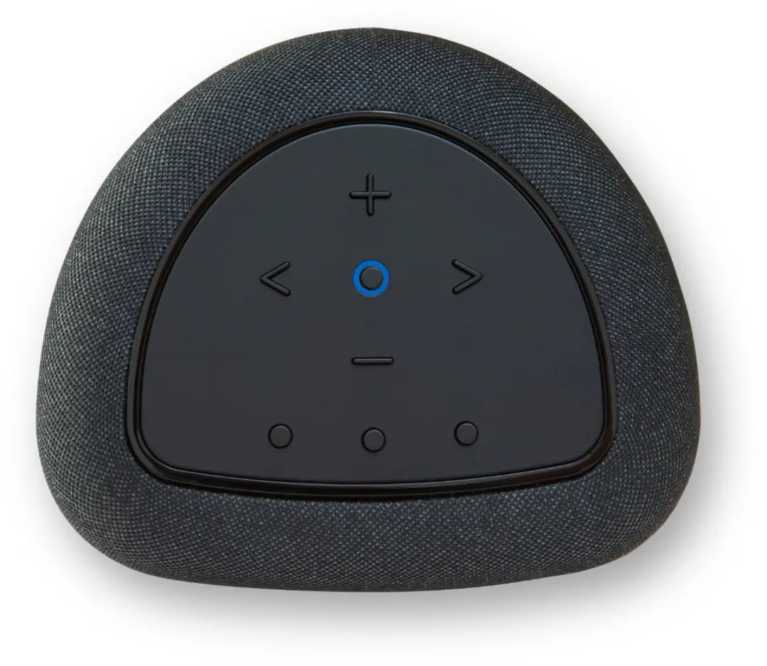 Bluesound PULSE FLEX Draadloze Speaker - Zwart