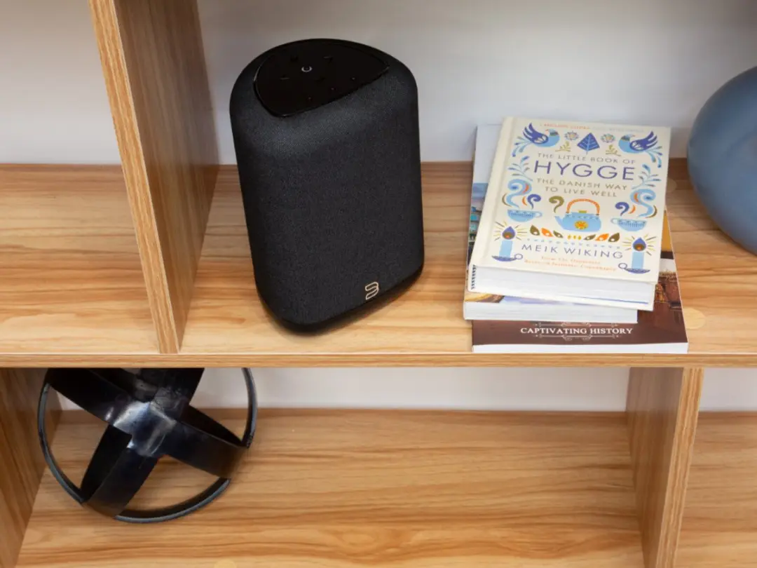 Bluesound PULSE FLEX Draadloze Speaker - Zwart - afbeelding 6 van 6
