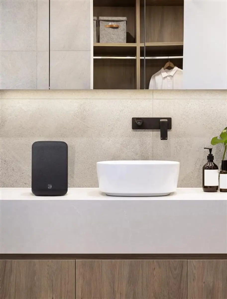 Bluesound PULSE FLEX Draadloze Streaming Speaker