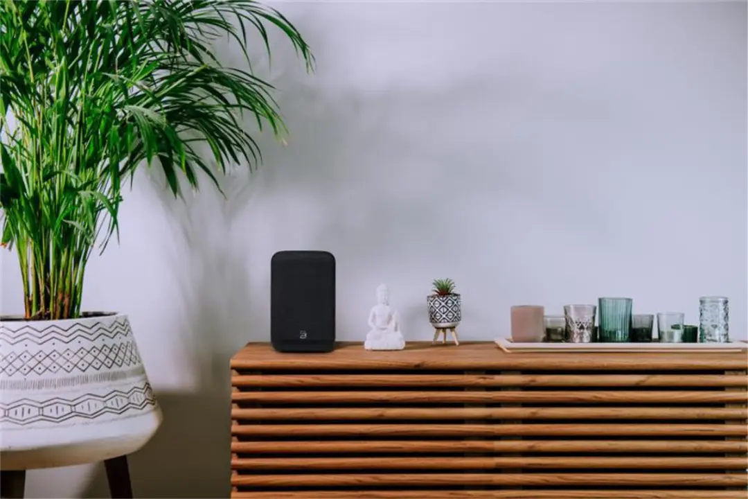 Bluesound PULSE FLEX Draadloze Speaker - Zwart
