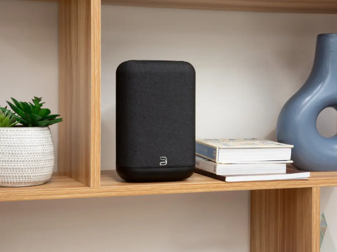 Bluesound PULSE FLEX Draadloze Speaker - Zwart