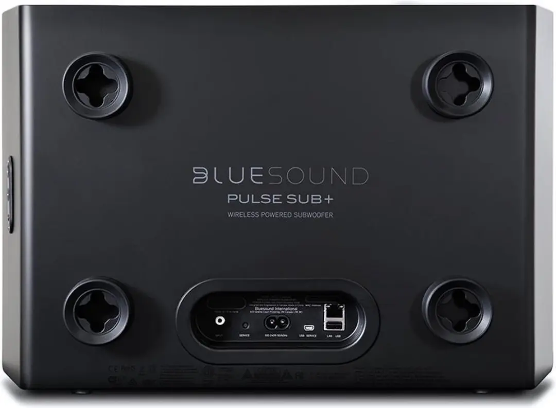 Bluesound Pulse Sub+ Subwoofer - 200W - Zwart