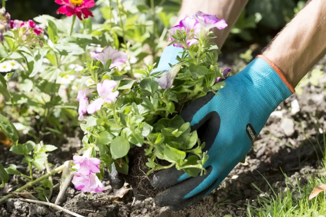 Gardena Plant- en Bodemhandschoenen L - Blauw/Zwart