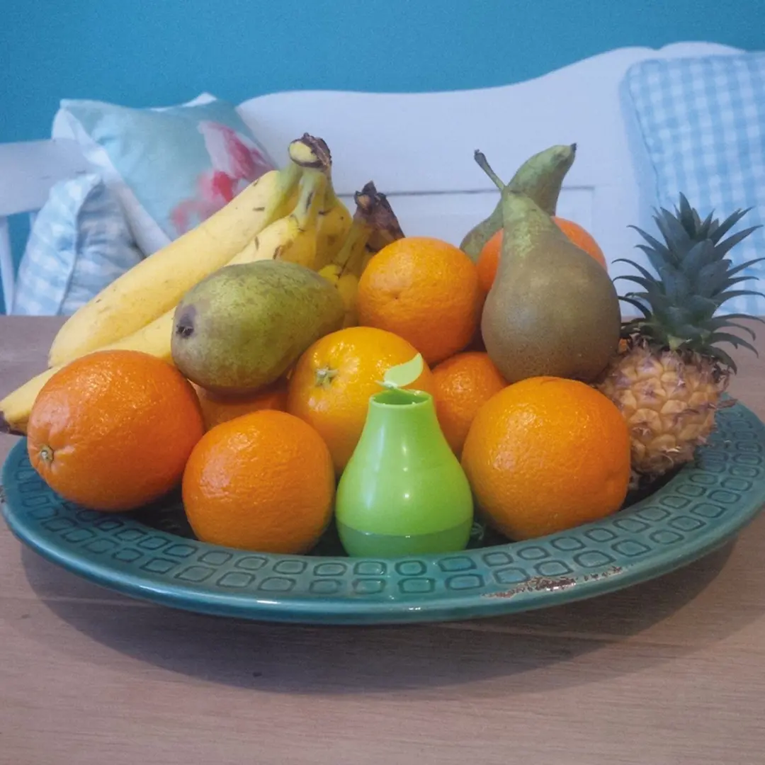HGX Fruitvliegjesval Navulling 40ml