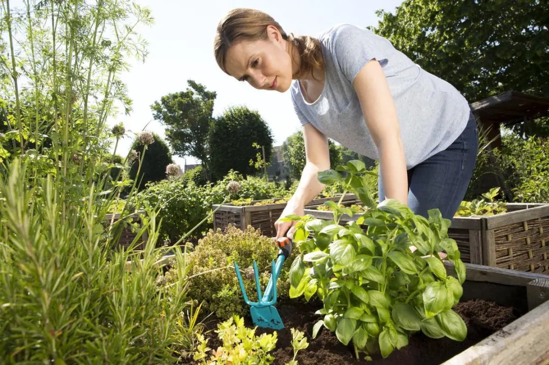 Gardena Combisystem Tuinhak - Werkbreedte 6,5cm - afbeelding 6 van 6