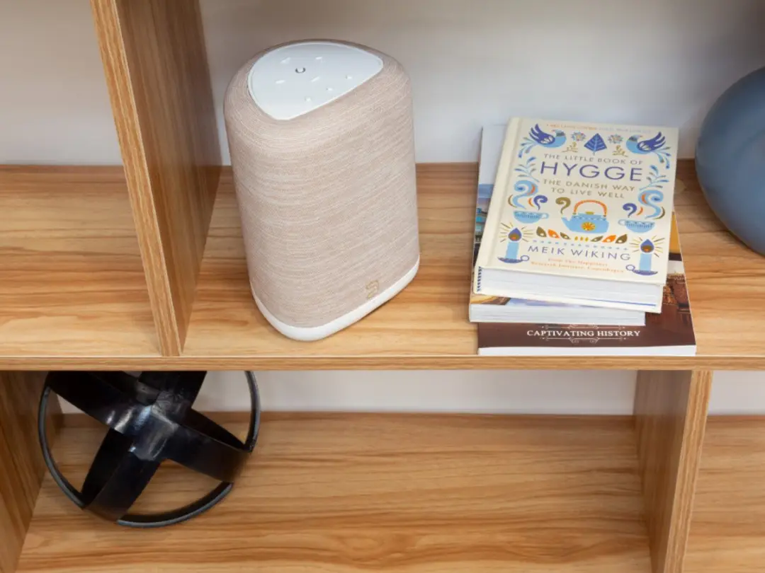 Bluesound PULSE FLEX Draadloze Streaming Speaker