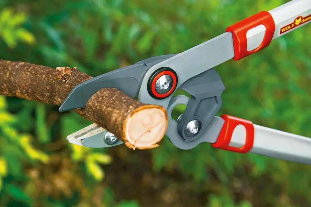 WOLF-Garten Takkenschaar Comfort Plus POWER CUT RS 750 - Aambeeld