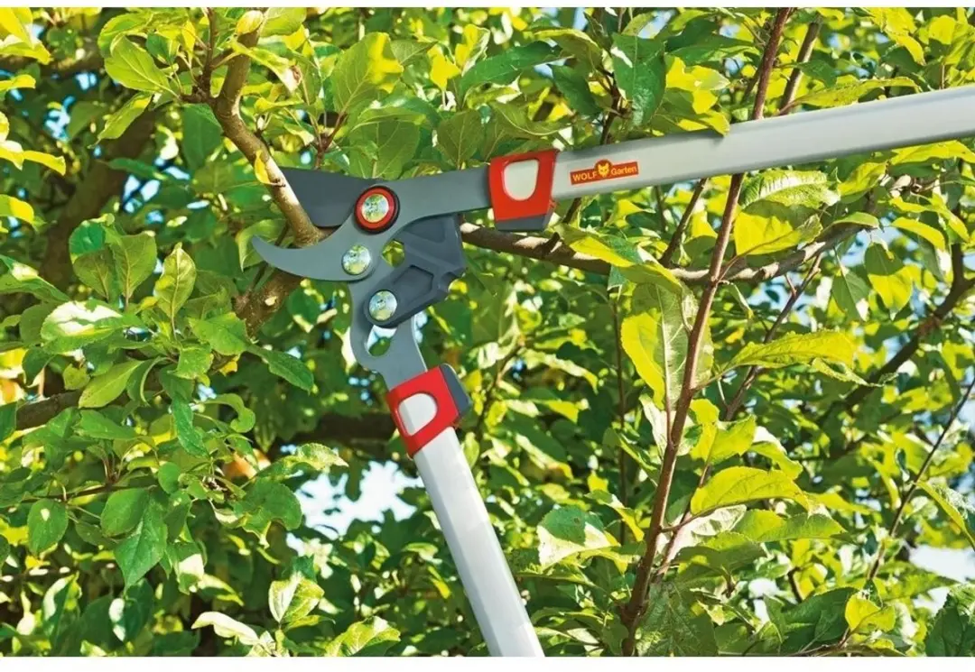 WOLF-Garten Takkenschaar Comfort Plus POWER CUT RS 750 - Aambeeld