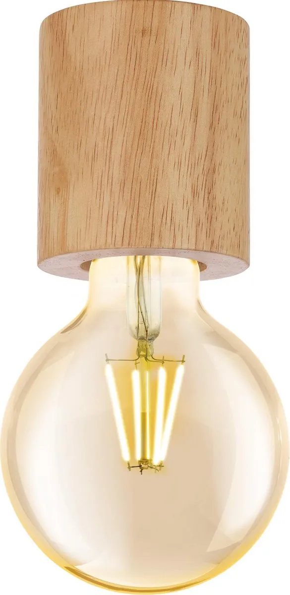 Eglo Turialdo Plafondlamp E27