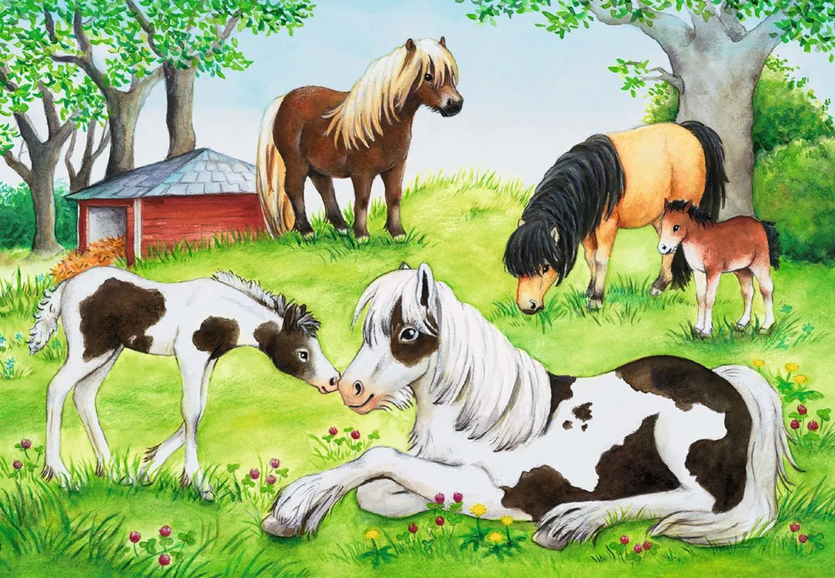 Ravensburger Wereld van de Paarden Puzzels - 2x24 Stuks Meerkleurig - afbeelding 3 van 5