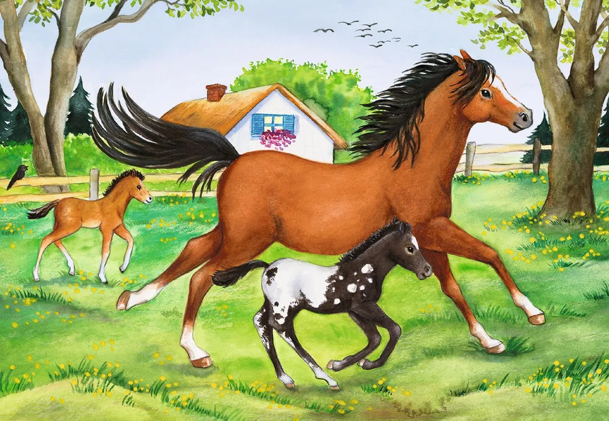 Ravensburger Wereld van de Paarden Puzzels - 2x24 Stuks Meerkleurig - afbeelding 4 van 5