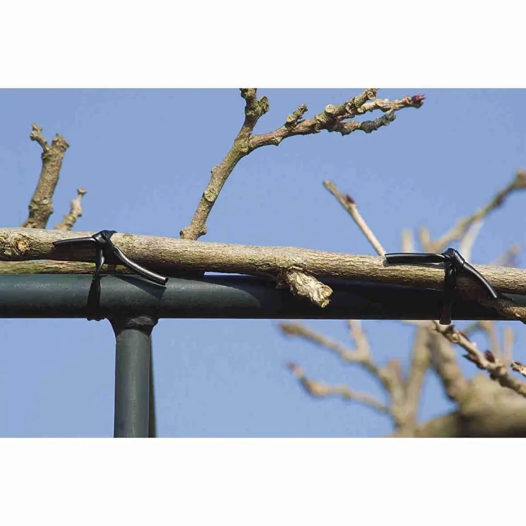 Nature Bindbuis Ø50m - Zwart
