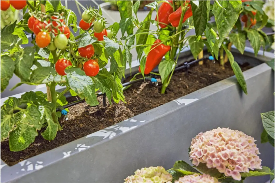 Gardena Micro-Drip Complete Bevloeiingsset 13400-20 - 30 Planten