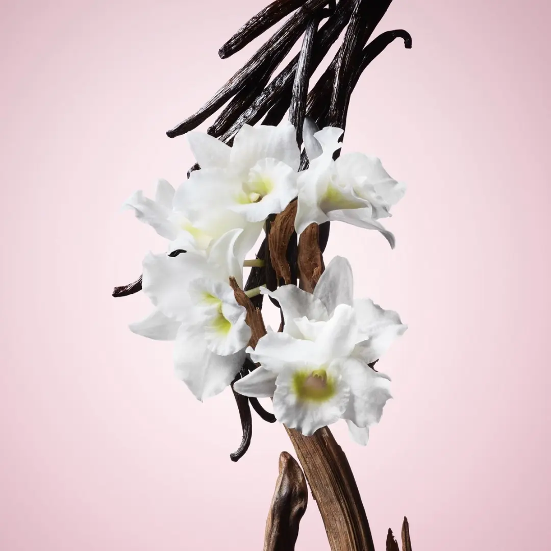 Viktor&Rolf Flowerbomb Eau de Parfum 30ml