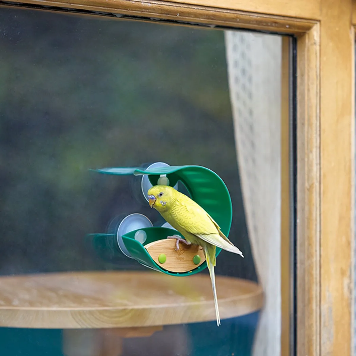 Hape Vogel Voederhuisje E5585A