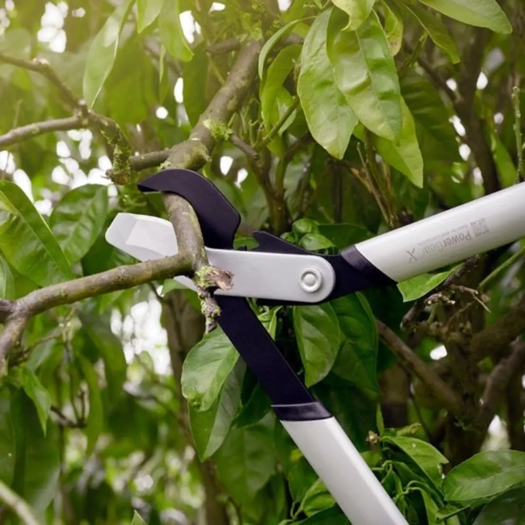 Fiskars PowerGear X Takkenschaar LX94 - 64 cm