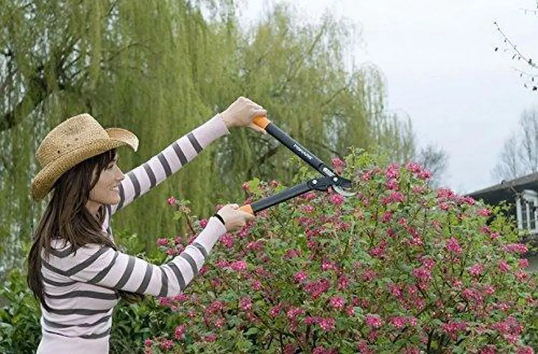 Fiskars Powergear II Takkenschaar 38mm - 45cm
