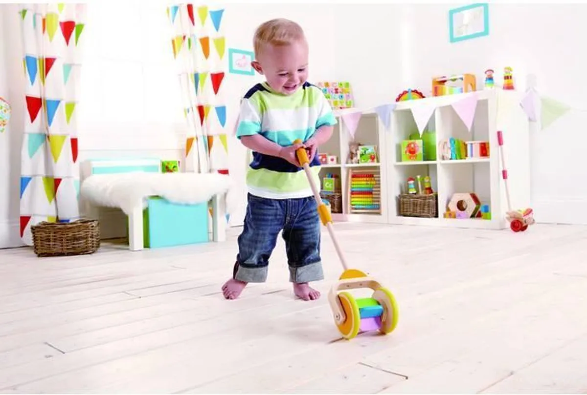 Hape Loopstok Multicolor