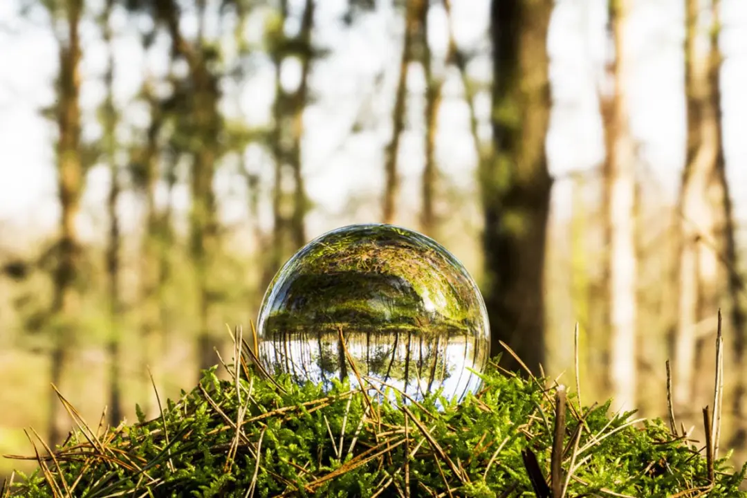Caruba Lensball D142671 100mm - Transparant