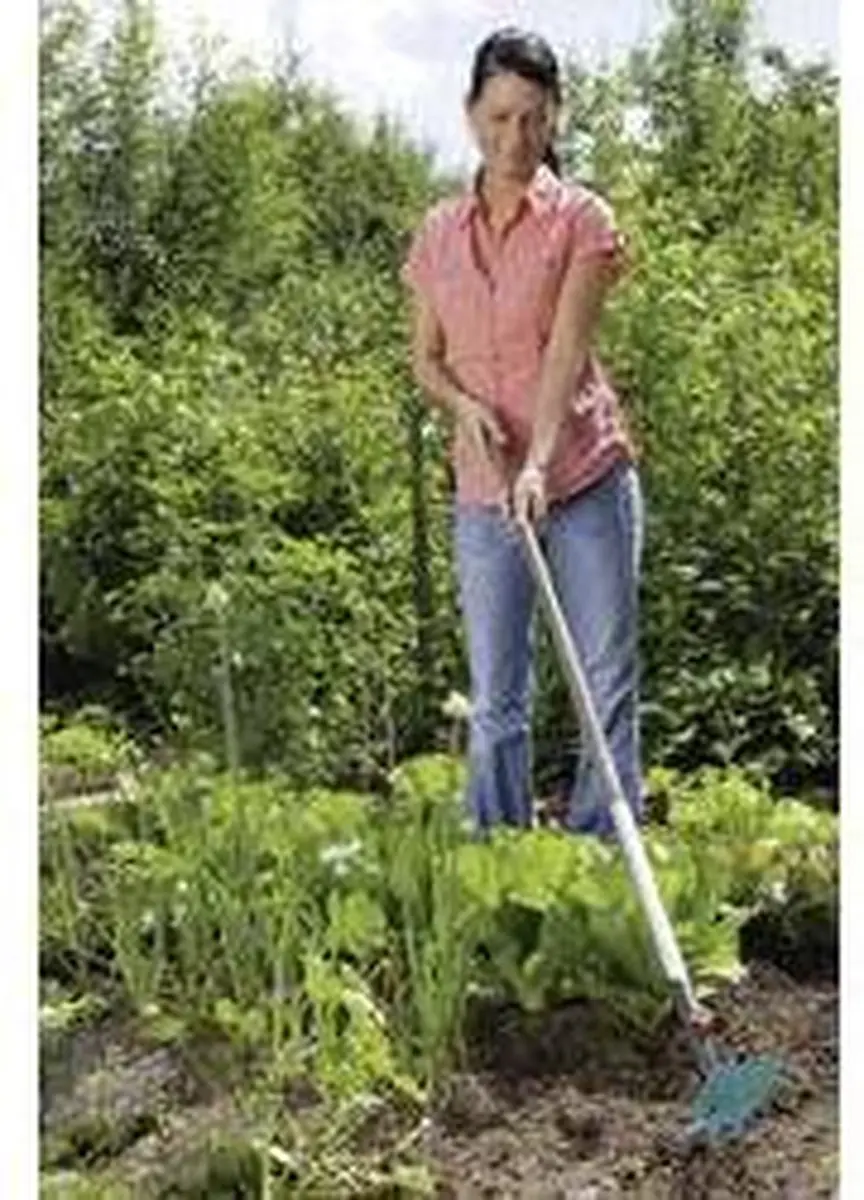 Gardena Combisystem Tuinhak 3-tanden