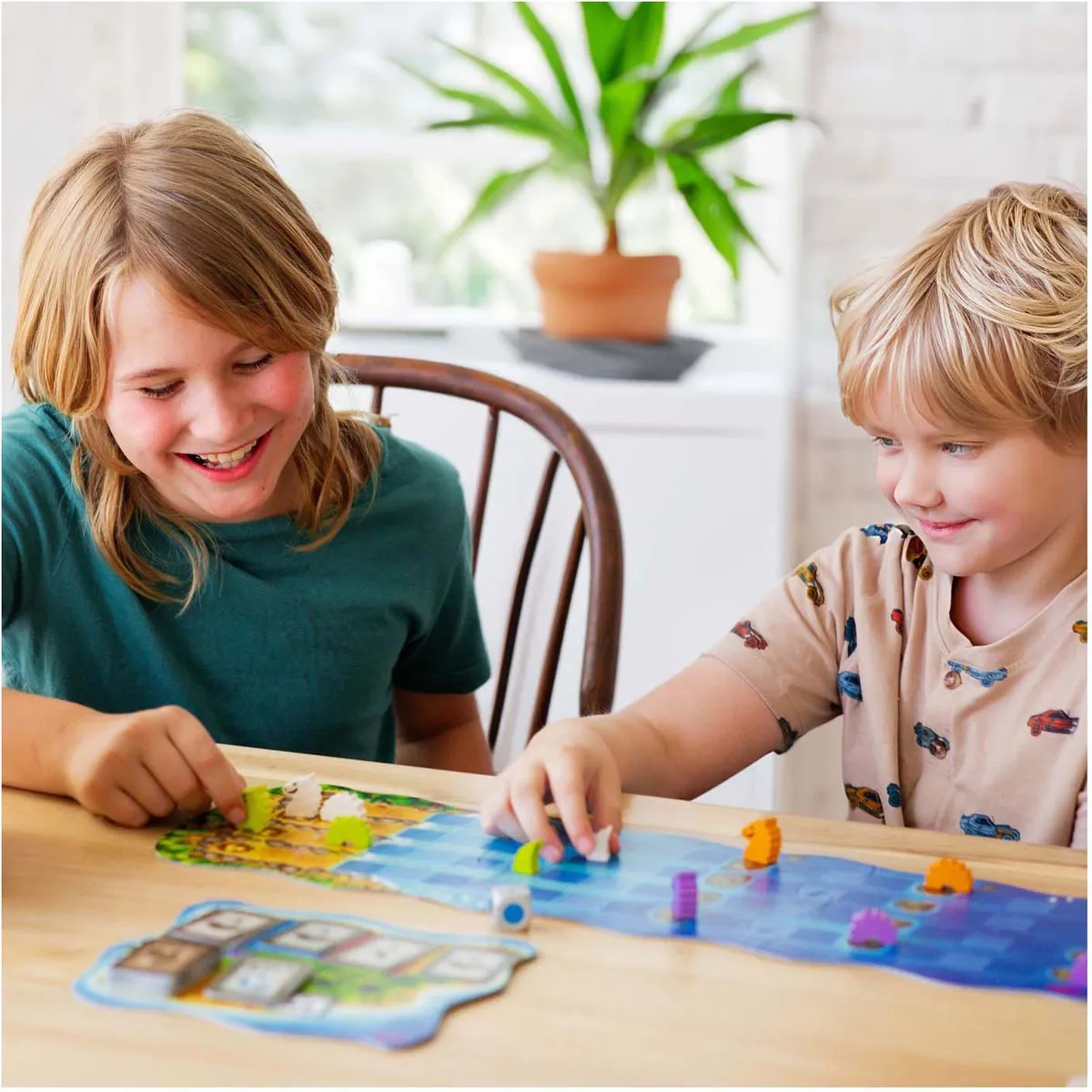 Haba Water Dragons Educatief Gezelschapsspel - 6 Spelers - Multicolor