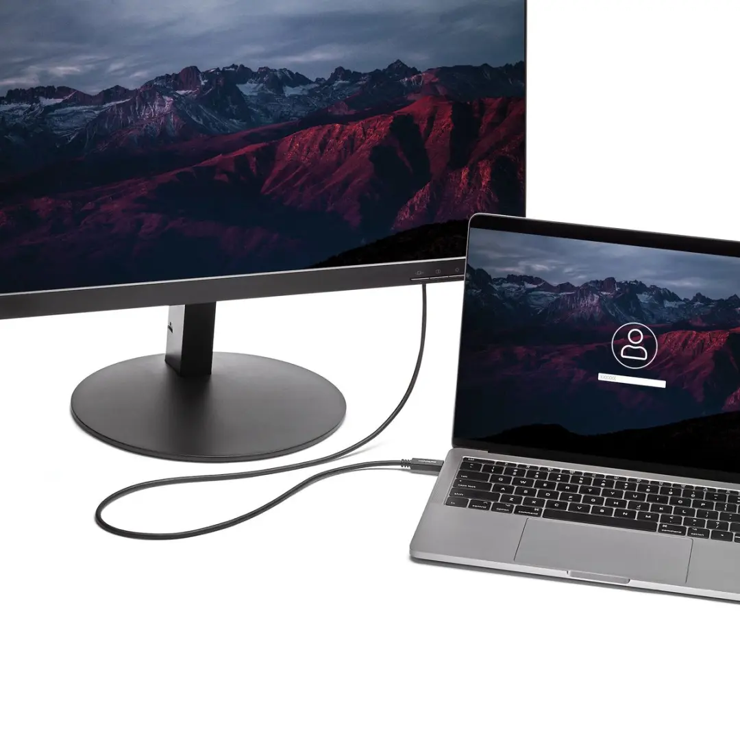Startech USB-C naar VGA Adapterkabel 2m - 1920x1200 - Zwart
