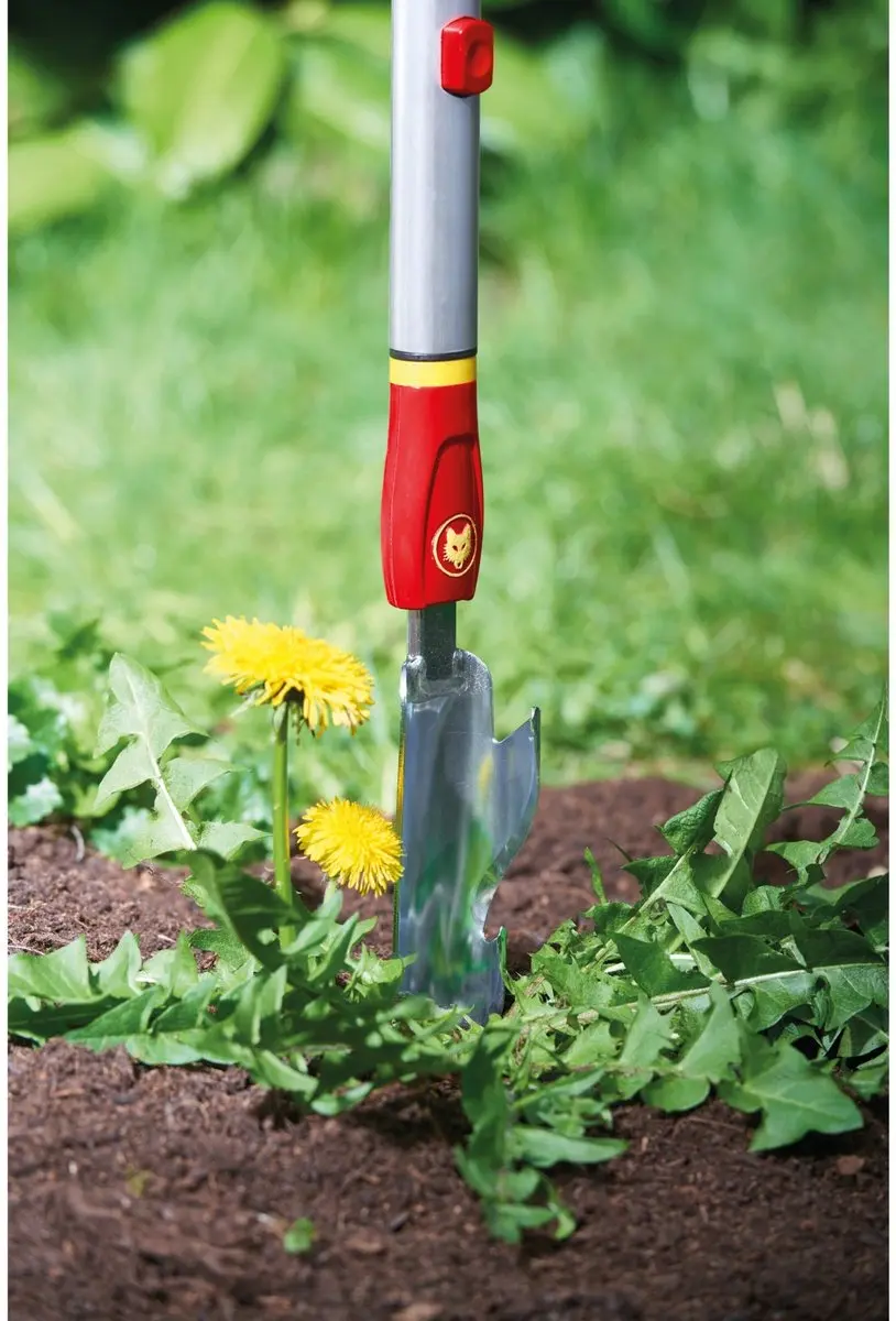 WOLF-Garten Distelsteker IW-M Gazononderhoud 4cm - afbeelding 6 van 6