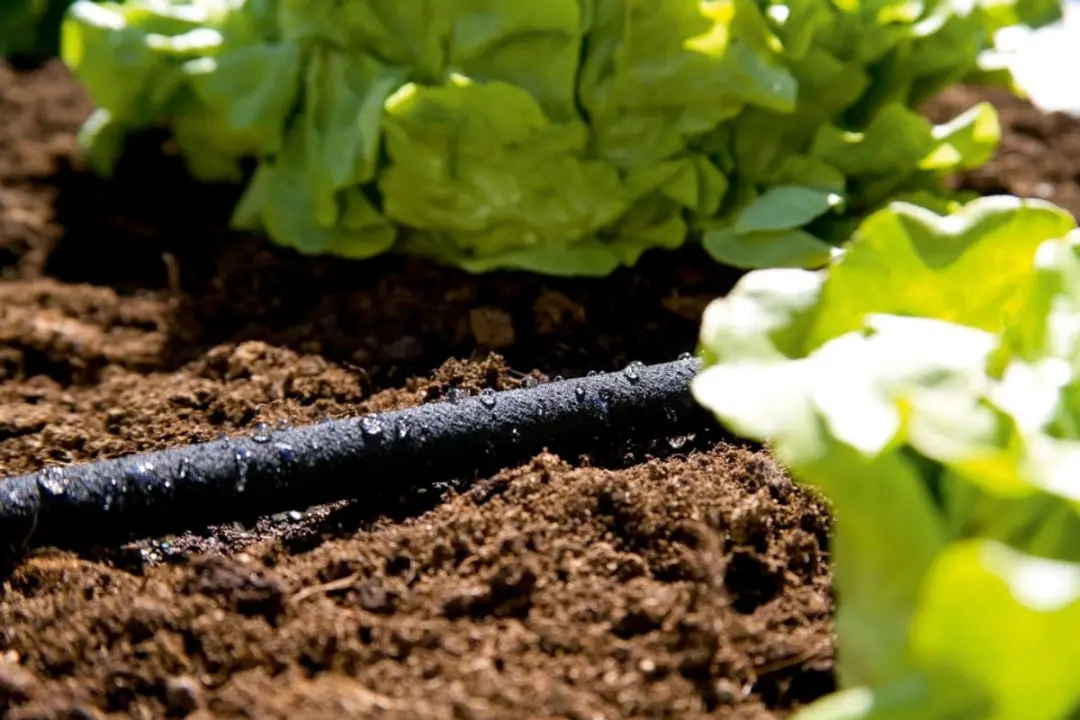 Gardena Druppelslang 7,5m - 100 Planten - afbeelding 6 van 6