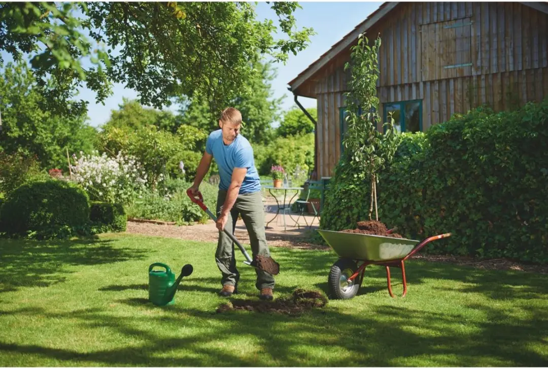 WOLF-Garten Heren Spitsspade ASP-D 117cm