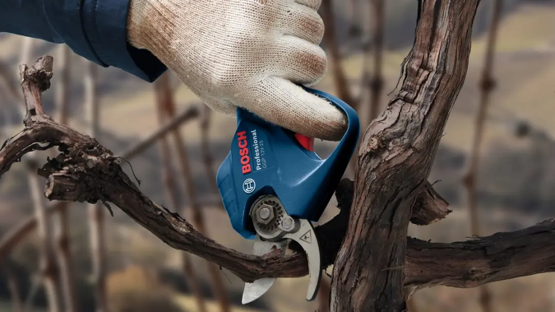 Bosch Professional GGP 12V-25 Snoeischaar - 2x 3.0Ah Accu