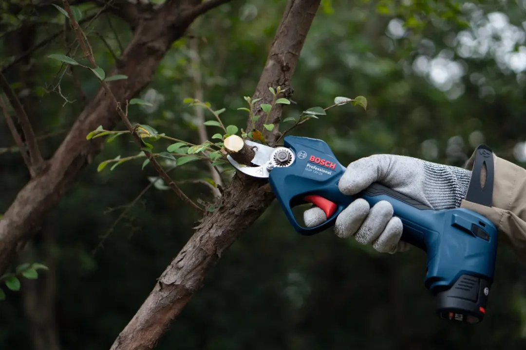 Bosch Professional GGP 12V-25 Snoeischaar - 2x 3.0Ah Accu