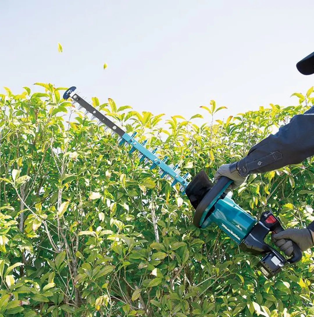 Makita DUH601Z Accu-Heggenschaar