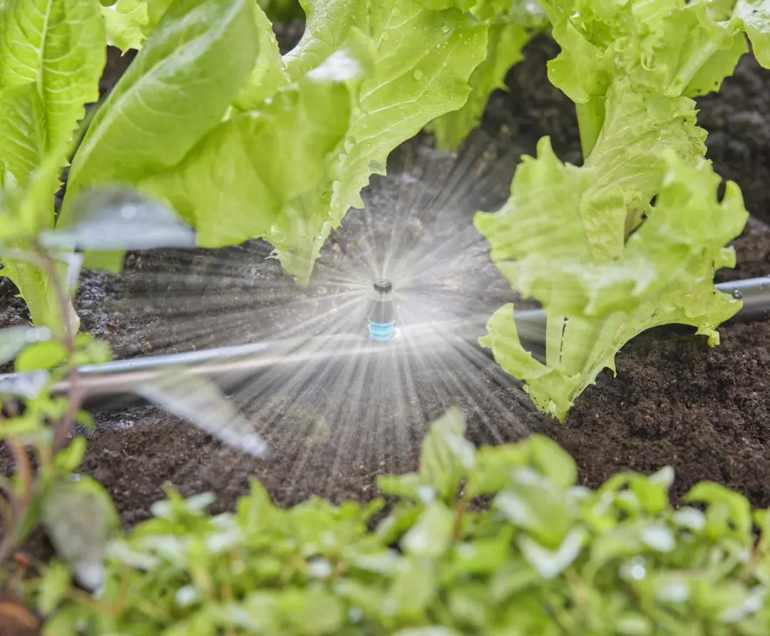 Gardena Micro Sproeier 360° - 5 Stuks