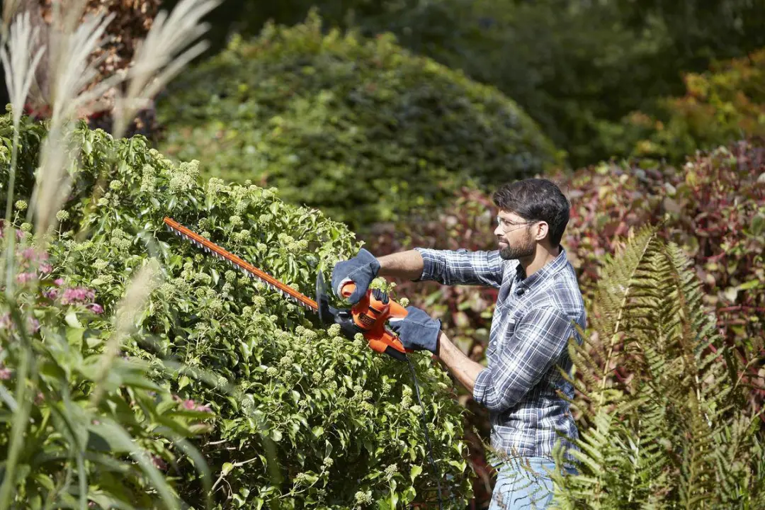 BLACK+DECKER BEHT201-QS Heggenschaar 420W - 45cm
