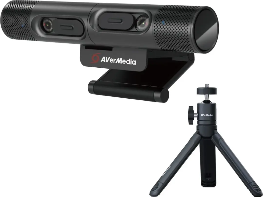 AVerMedia PW313D Webcam FHD