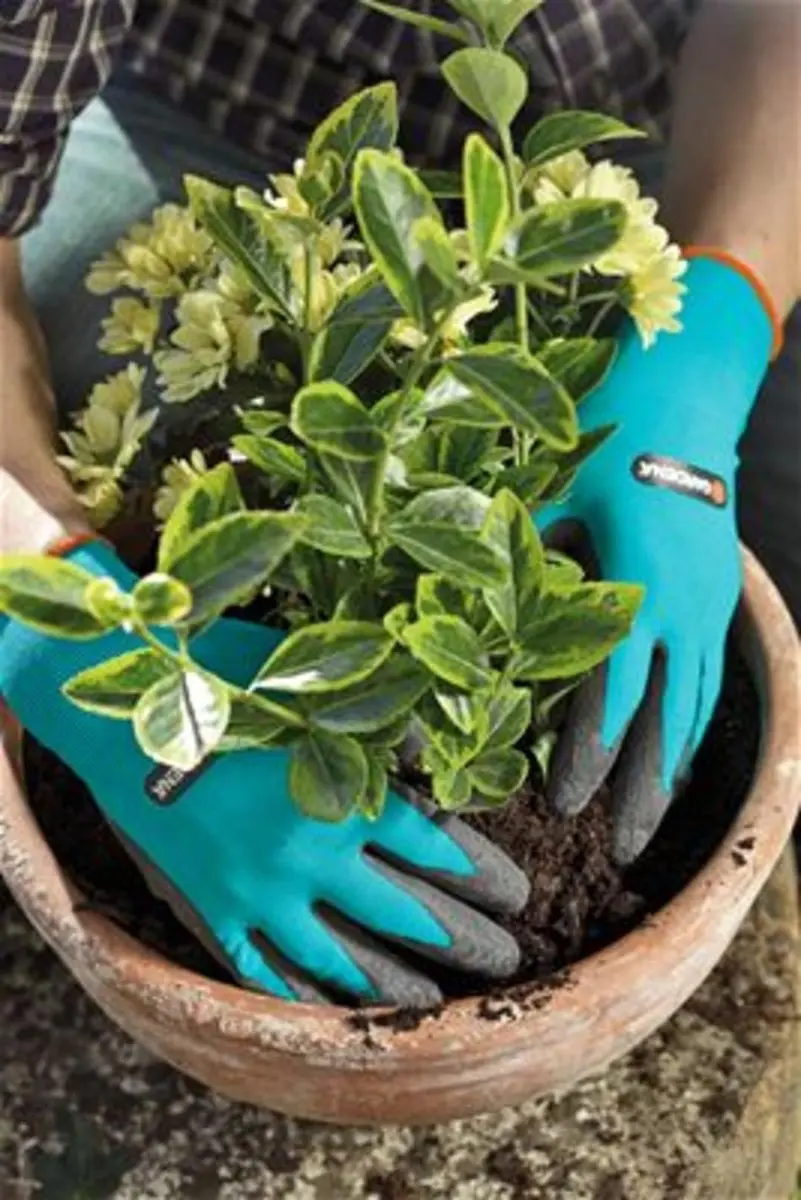 Gardena Plant- en Bodemwerkhandschoenen XL - Zwart/Groen