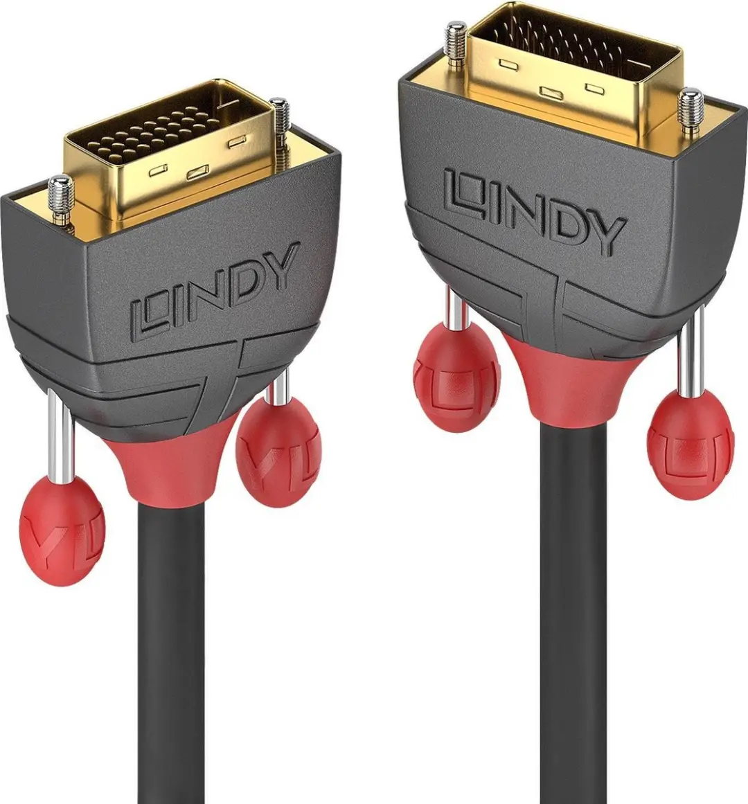 Lindy Anthra Line DVI-kabel DVI-D 5m
