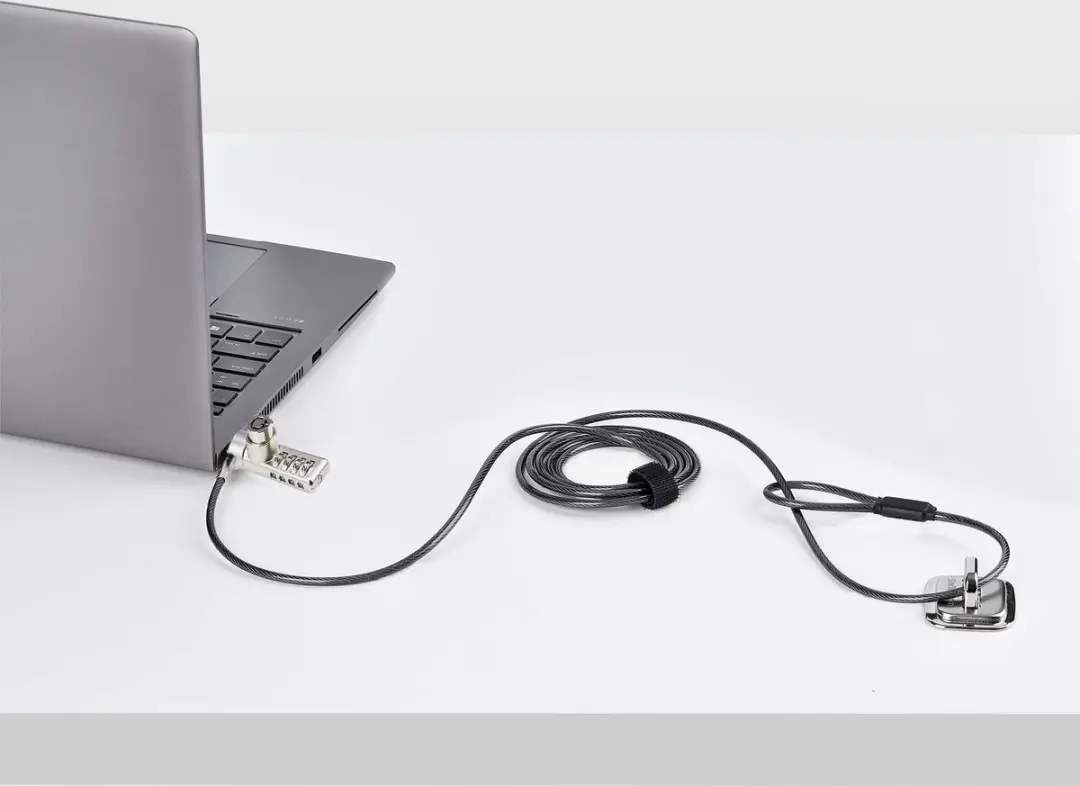 Startech DUALKA10-LAPTOP-LOCK Laptopslot - 10 Stuks - 2m - Tweekleurig