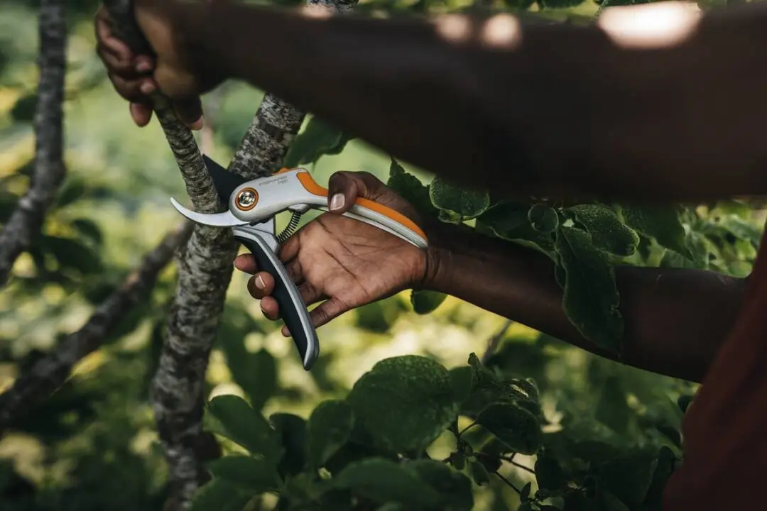 Fiskars Plus P531 Bypass Snoeischaar - Ø24mm