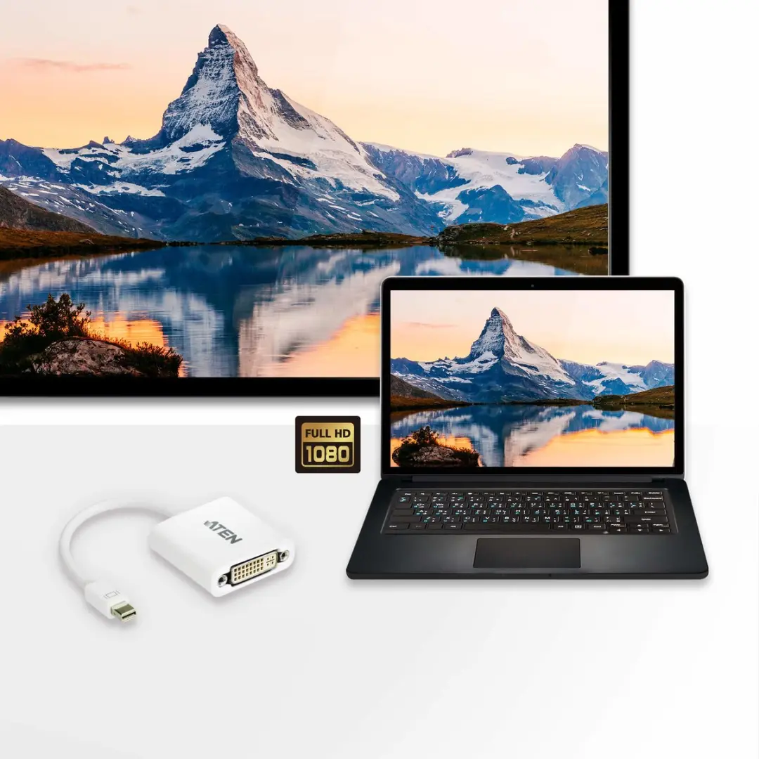 Aten AT-VC960 Mini DisplayPort naar DVI Adapter